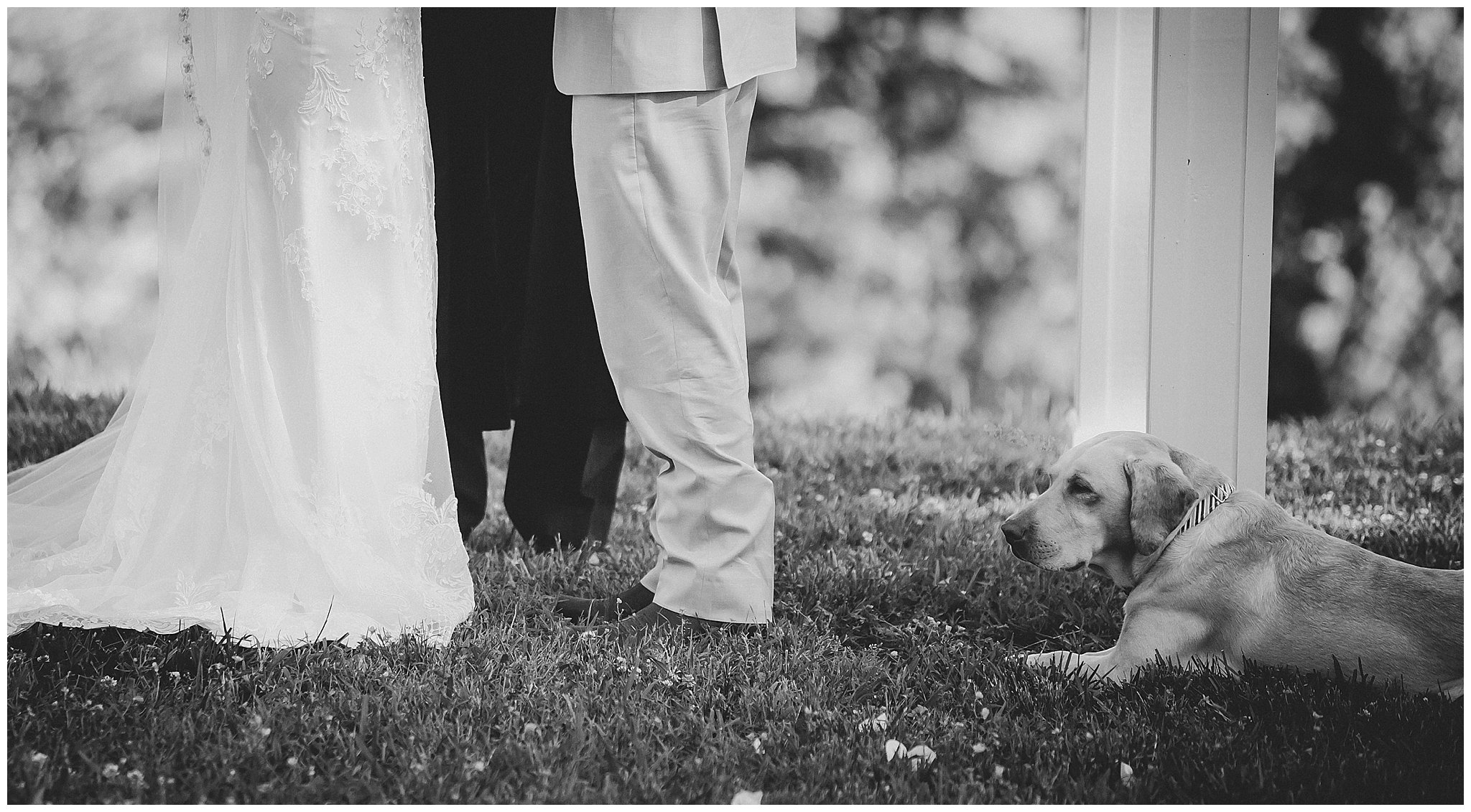 Chattanooga,Dayton,Wedding Photographer,