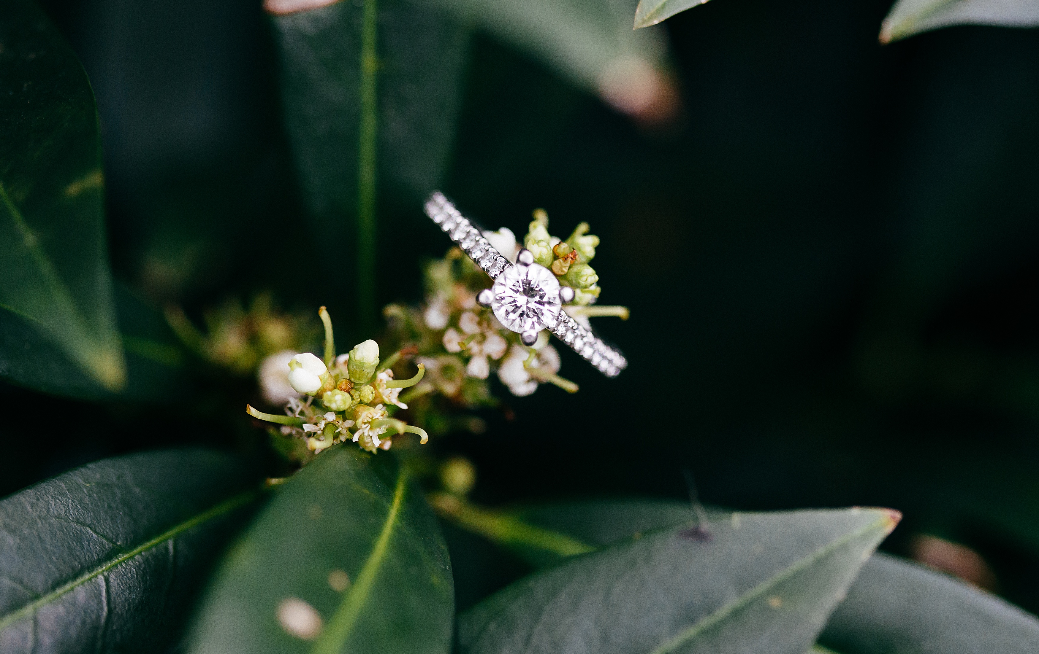 Crescent Bend,Engagement,Knoxville Wedding Photographer,Wedding Photographer, Crescent Bend,Engagement,Knoxville Wedding Photographer,Wedding Photographer,