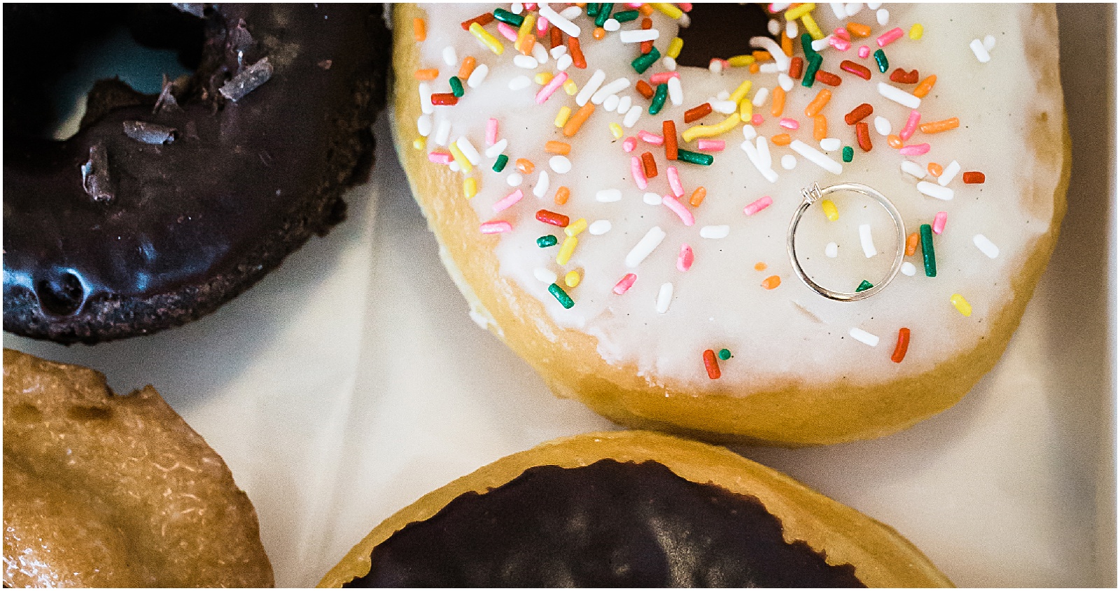 Amber Lowe Photo,Donut Engagement,Knoxville Photographer,Knoxville Wedding Photographer,Status Dough,