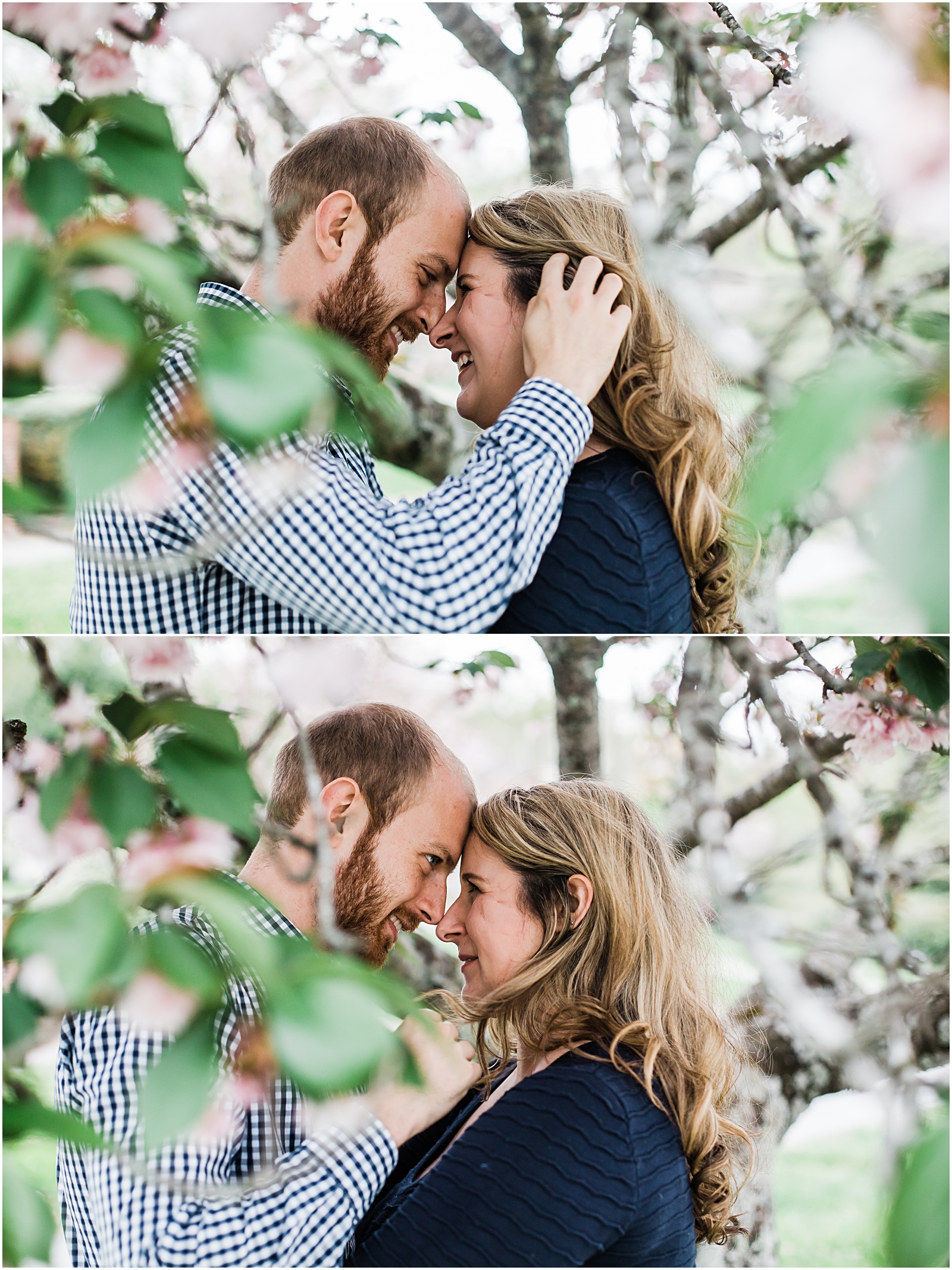 Amber Lowe Photo,Donut Engagement,Knoxville Photographer,Knoxville Wedding Photographer,Status Dough,