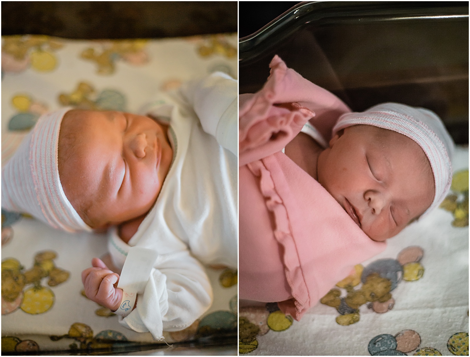 Amber Lowe Photo,Knoxville Family Photographer,Knoxville Newborn Photographer,